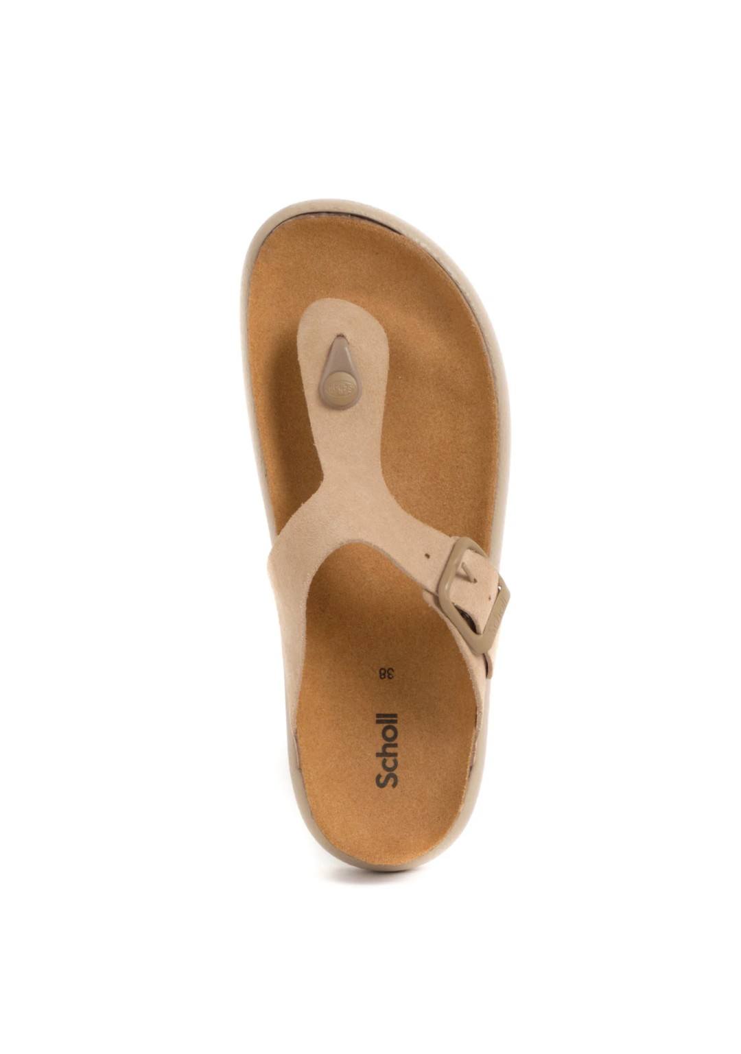 Scholl - Infradito Platform - Donna - ANAIS F31132 B