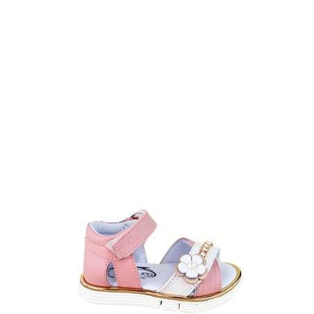 Balducci - Incrocio Fiore - Bimba - CITA6940R