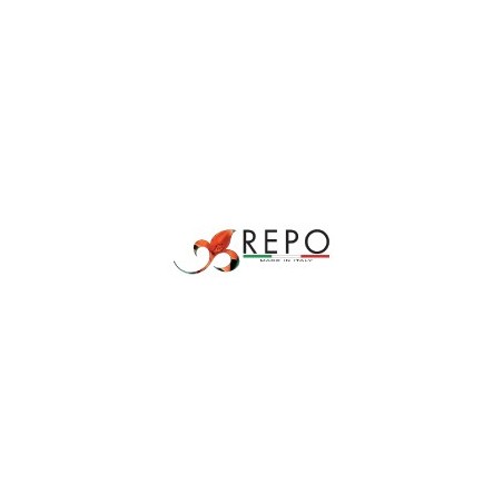 Repo